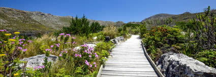 Aha Simons Town Quayside airport shuttle service