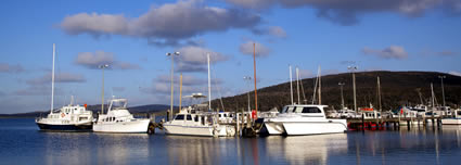 Albany Port airport shuttle service