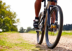 Recreation at The American River Bike Trail