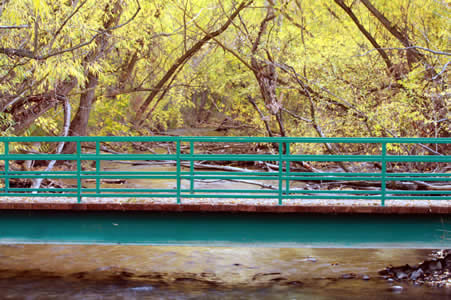 Visit the Boise River Greenbelt