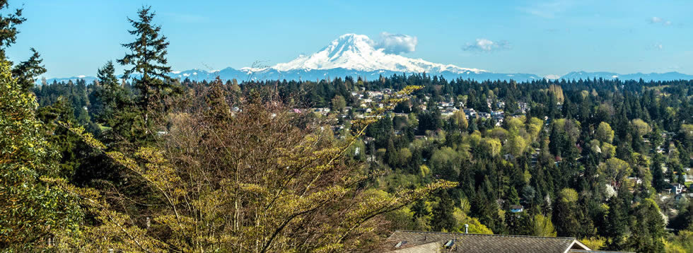 Burien airport rides