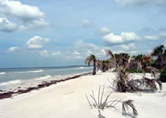 Beaches of Caladesi Island