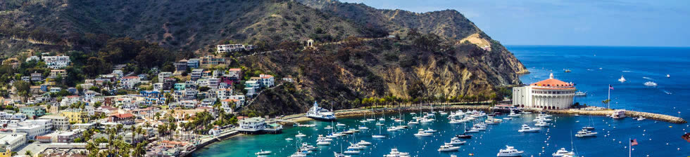 Catalina Island Cruise shuttles