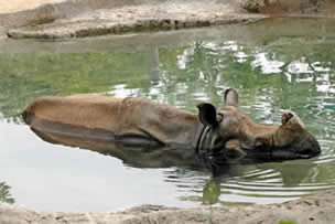 Visiting the Cincinnati Zoo