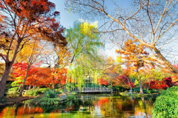 Visiting Fort Worth Botanic Garden