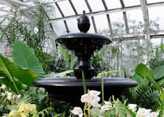 Visiting Franklin Park Conservatory