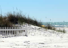 Visiting Fred Howard Park Beach