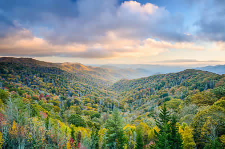 Visiting the Great Smoky Mountains