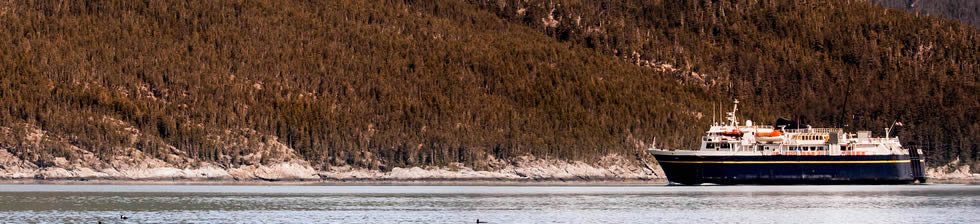 Haines Cruise shuttles