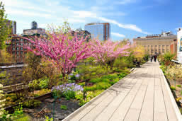 High Line in New York