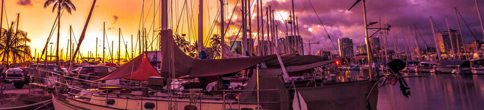 Honolulu Harbor Cruise shuttles