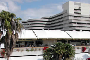 Meet and greet service at MCO airport