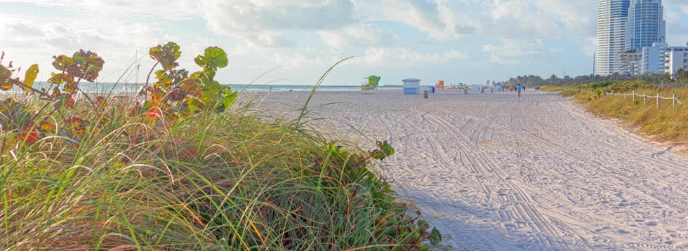 Miami Springs airport rides