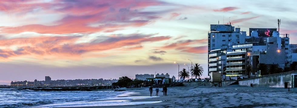 Montevideo Port shuttles