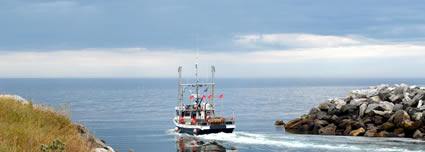 Port of Gaspé Transfers airport shuttle service