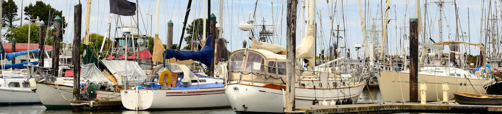 Port of Boston Cruise shuttles