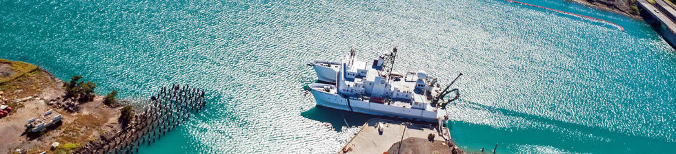 Port of Honolulu Cruise shuttles