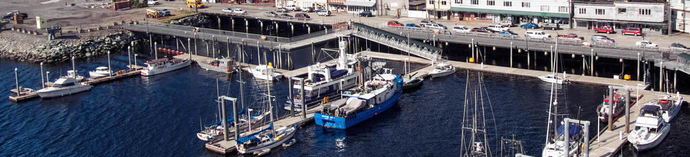 Port of Ketchikan Cruise shuttles