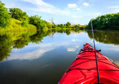 Activities at Saluda Shoals Park