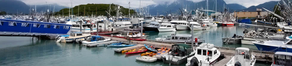 Seward Harbor Cruise shuttles