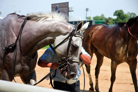 Racing at Kentucky Derby