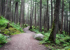 Visiting Tony Knowles Coastal Trail