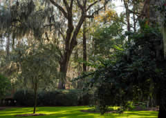 Bog Garden in Greensboro