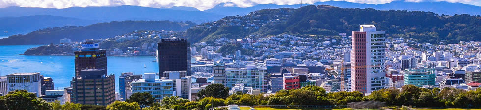 WLG airport shuttle transfers