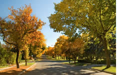 Rockford shuttle to the airport