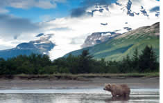 Unalakleet shuttle to the airport