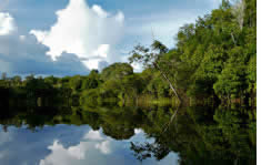 State of Rio Grande do Sul shuttle to the airport