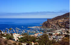 Catalina Island Cruise Port shuttle to the airport