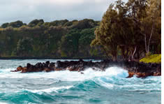 Kahului Harbor shuttle to the airport