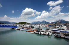 Seward Harbor shuttle to the airport