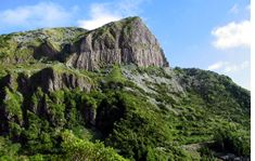 Flores Island shuttle to the airport